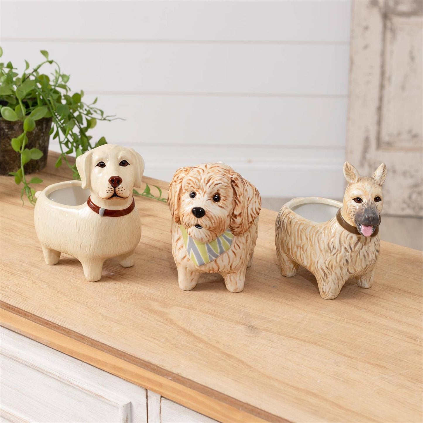 Bud vases - Doggies (Pk/03 Ast)