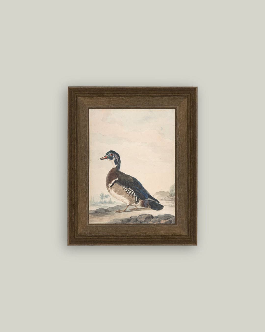 A Duck