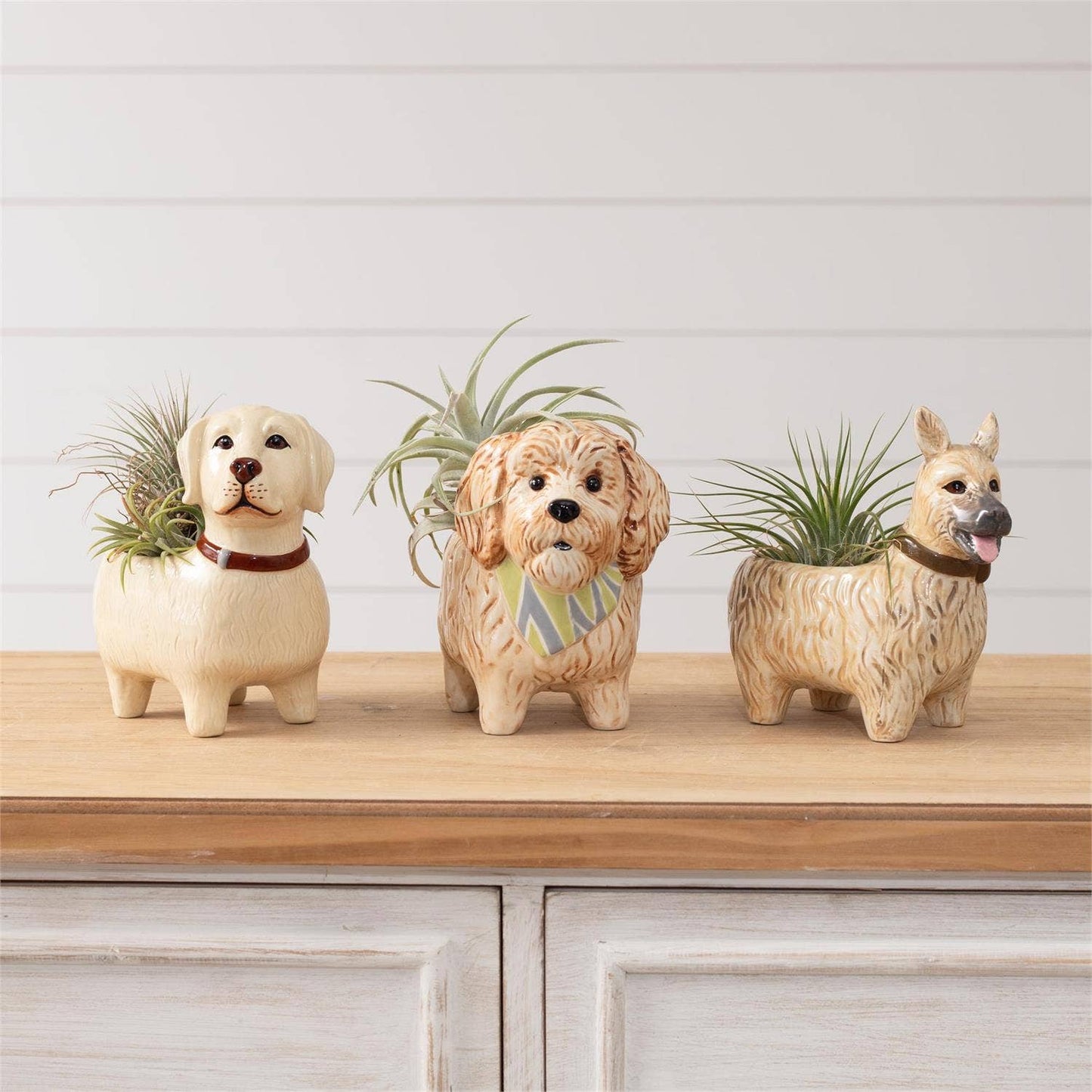 Bud vases - Doggies (Pk/03 Ast)