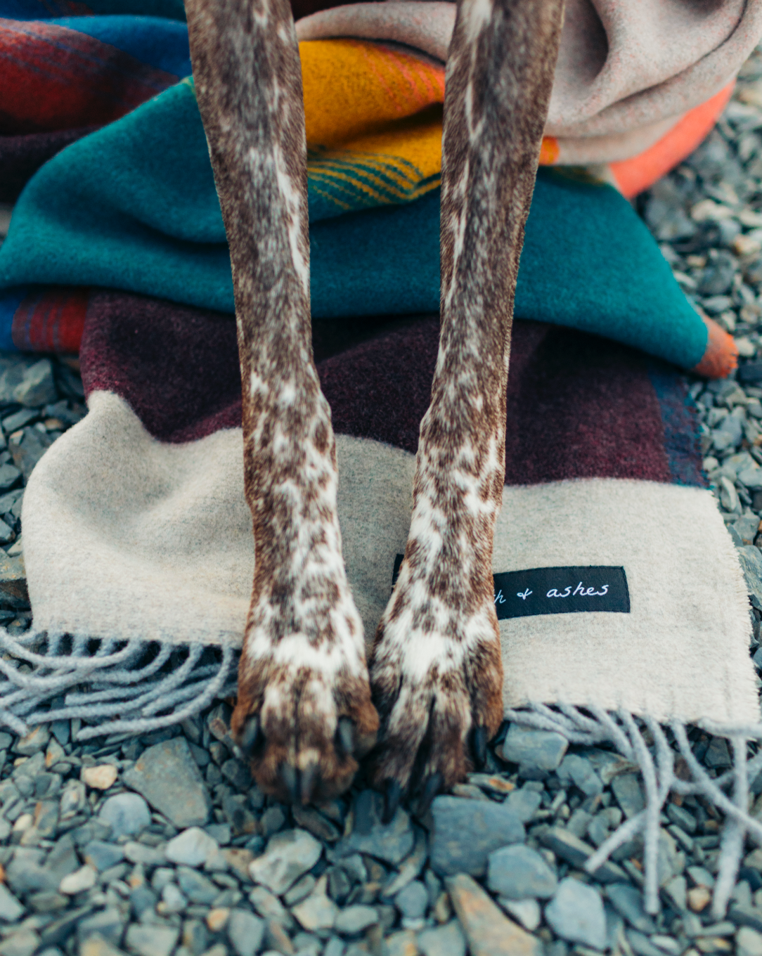 Sackcloth & Ashes Wool Blanket Mountain Tropic