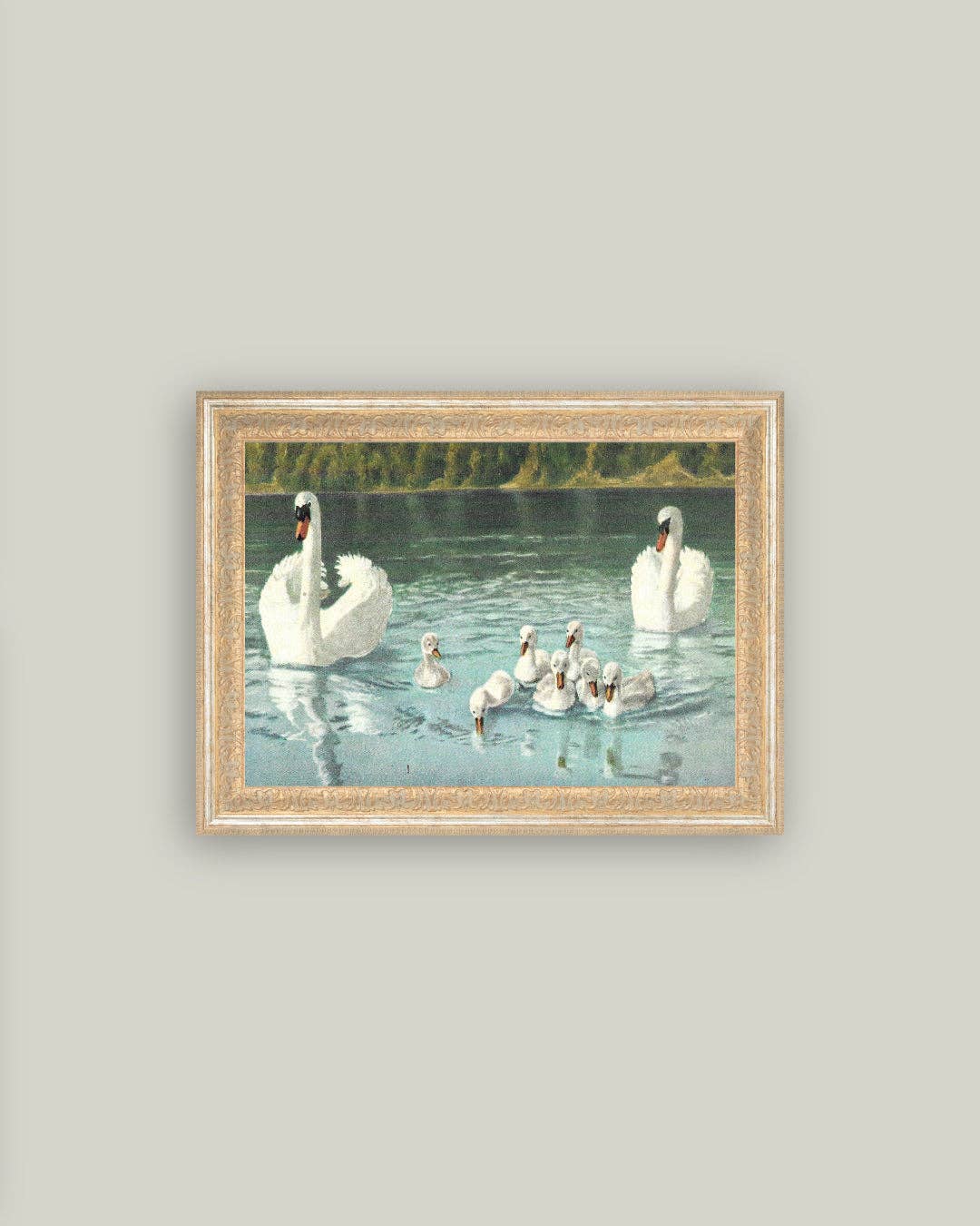 Swan Family Framed Antique Art