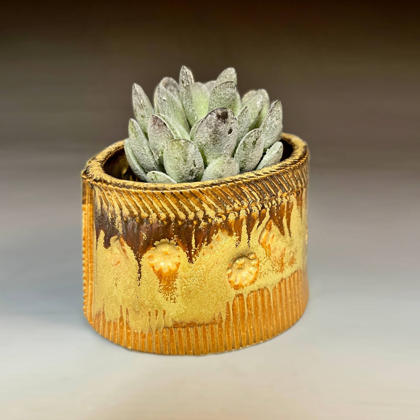 Macone Clay / Spooner Creek Green Mini Planter Stoneware