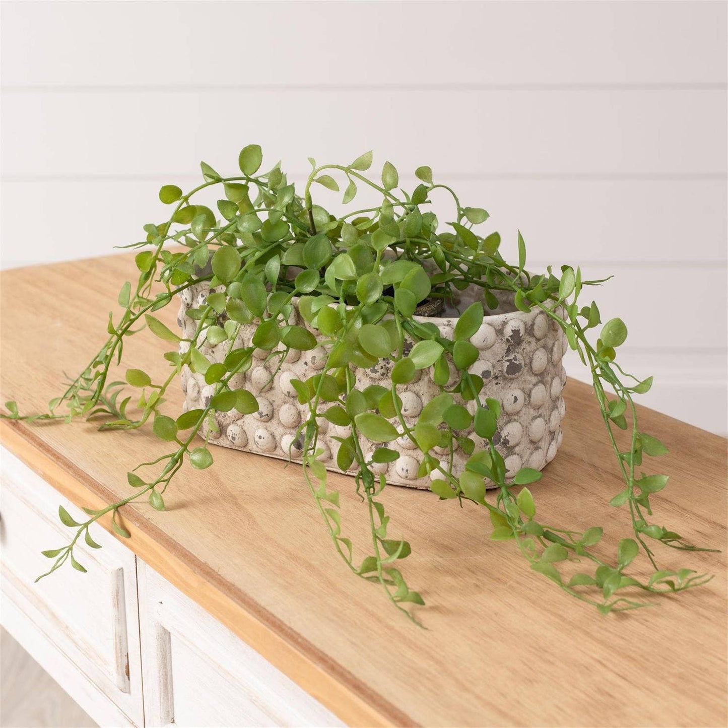 Oblong Distressed Dotted Planter (PC)