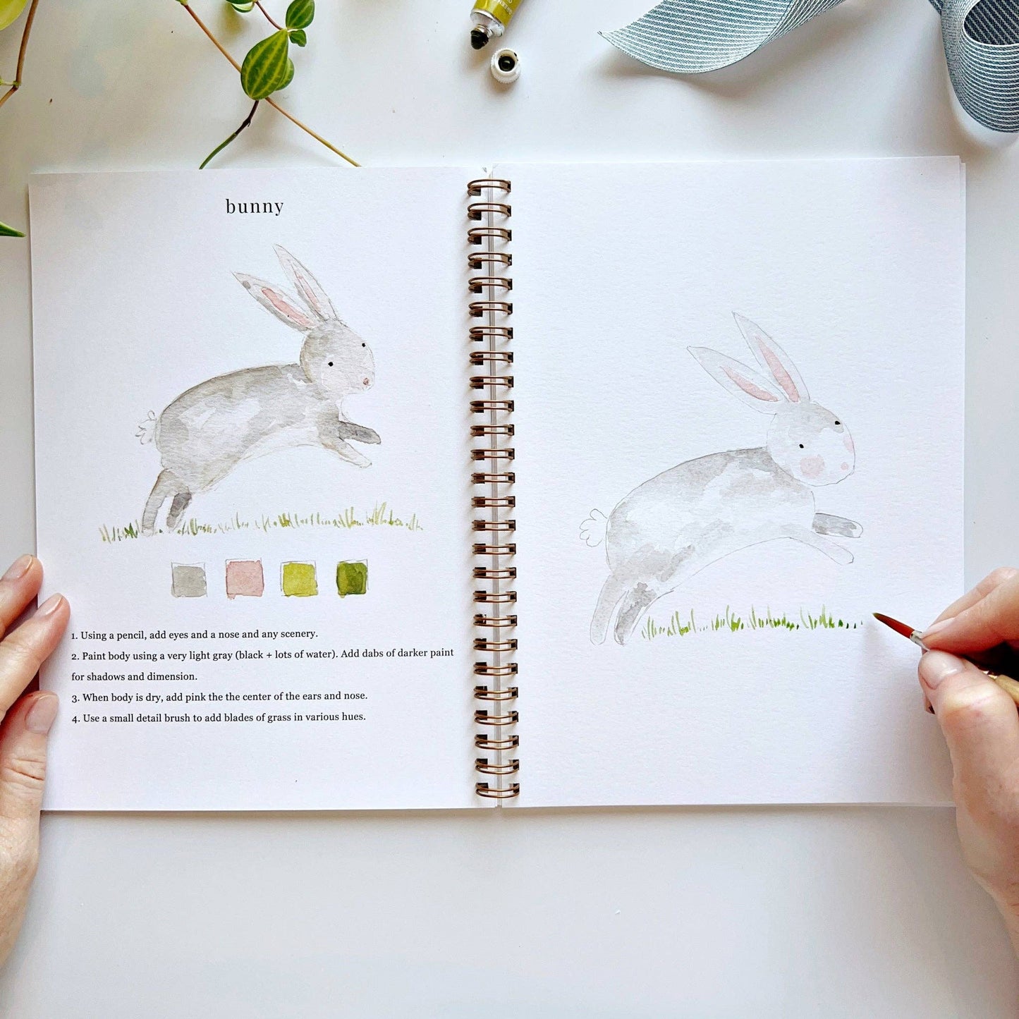 Emily Lex Studios Animals watercolor workbook