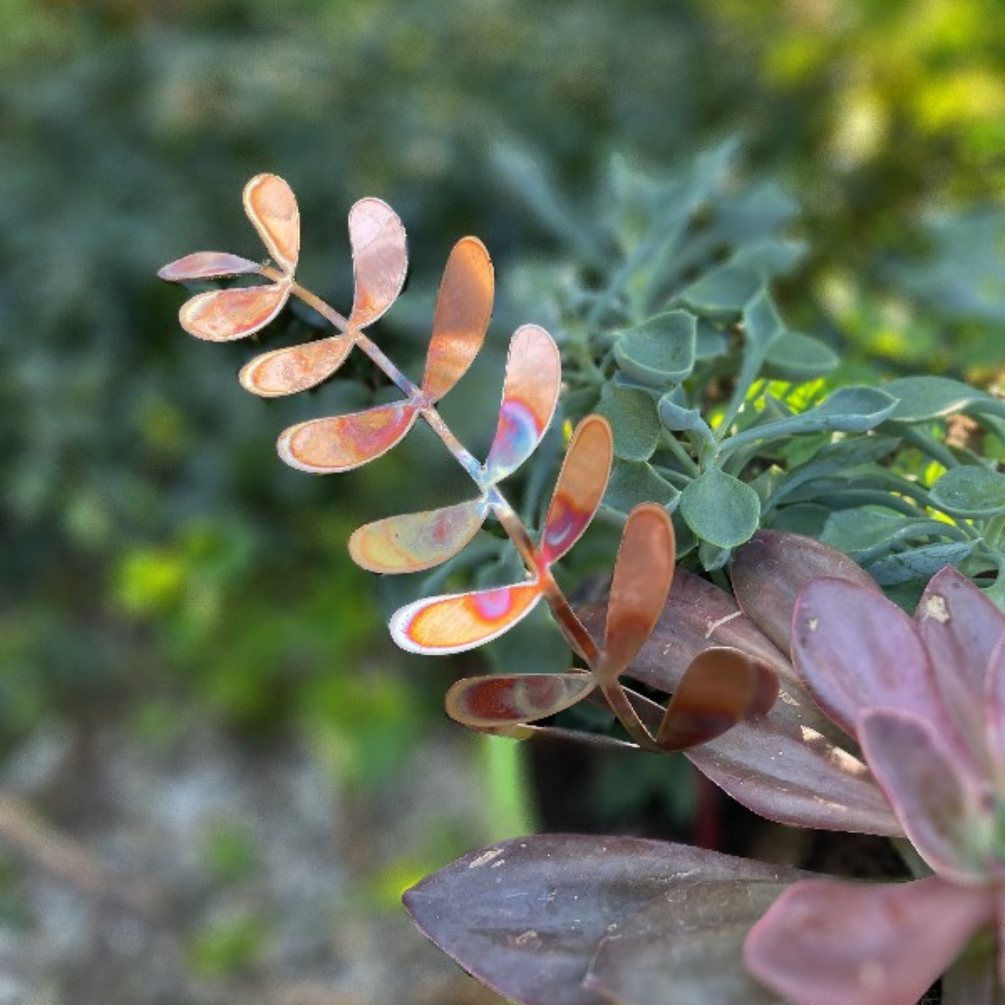 Large Copper Fern Frond