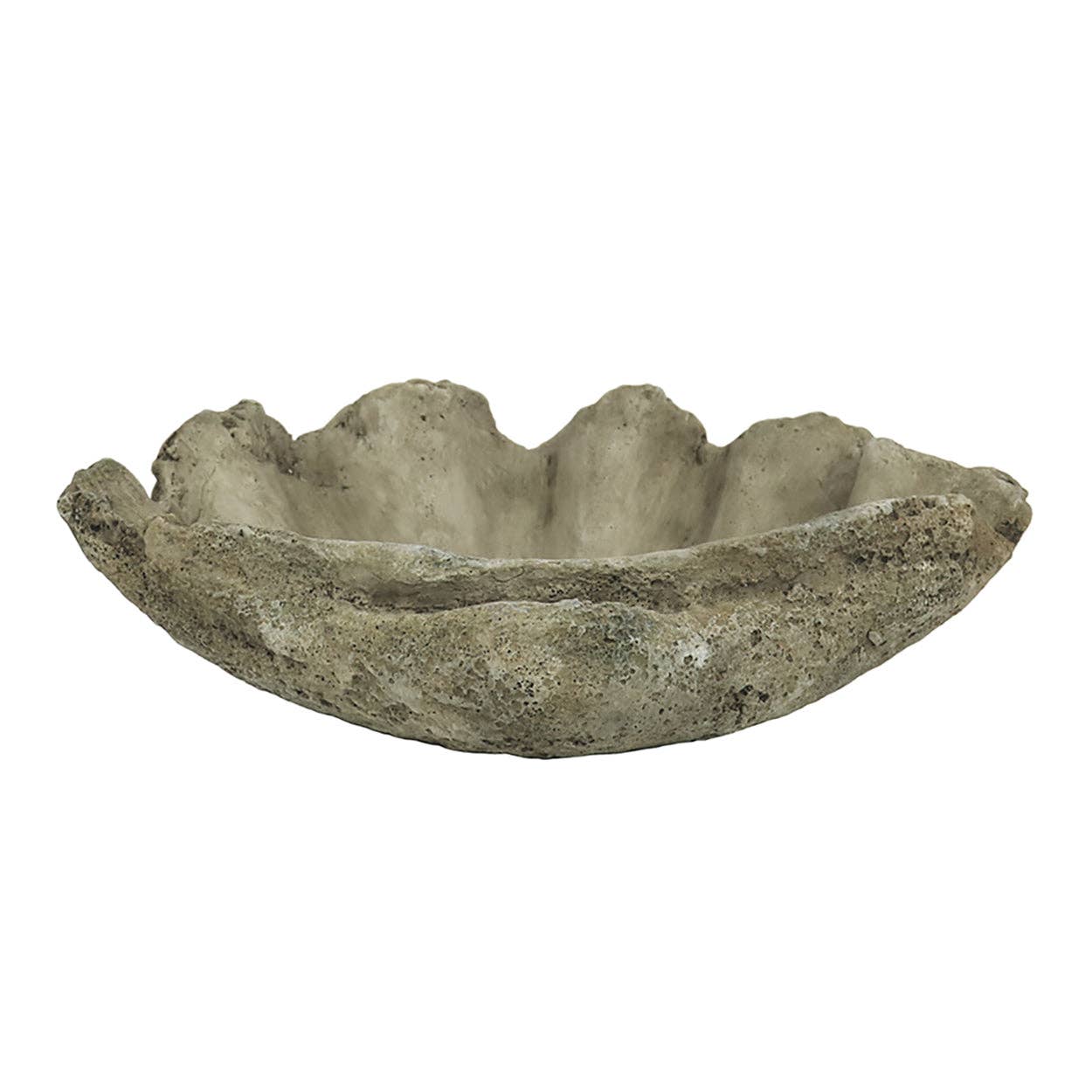 Cast Concrete Clam Shell