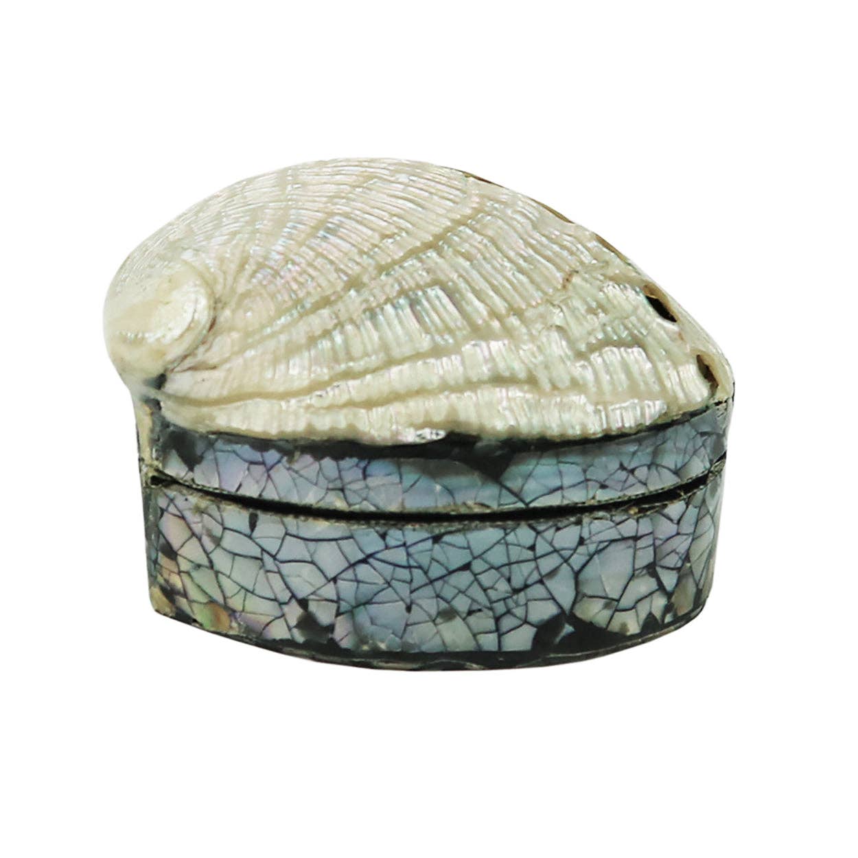 Shell Trinket Box