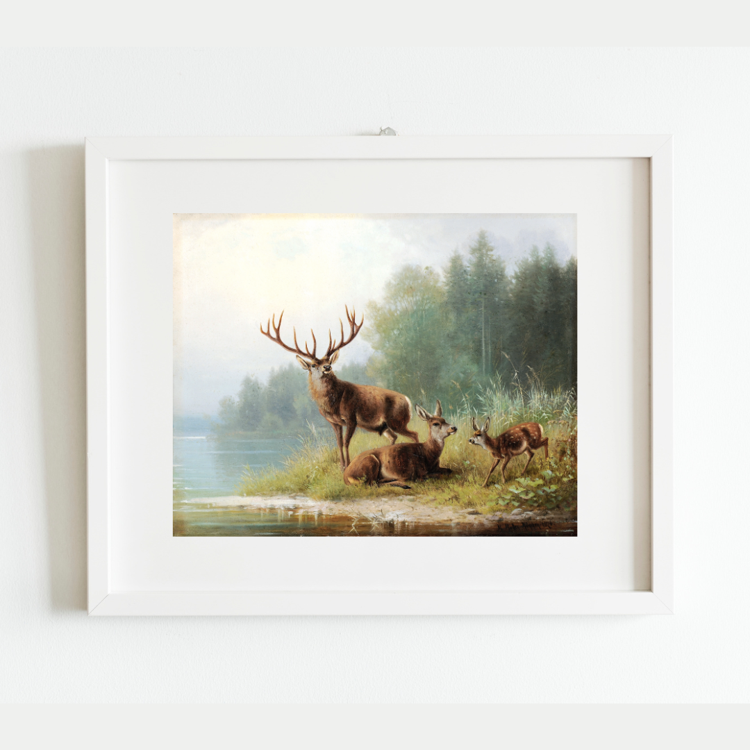 Stag at a Lake Antique Art Print