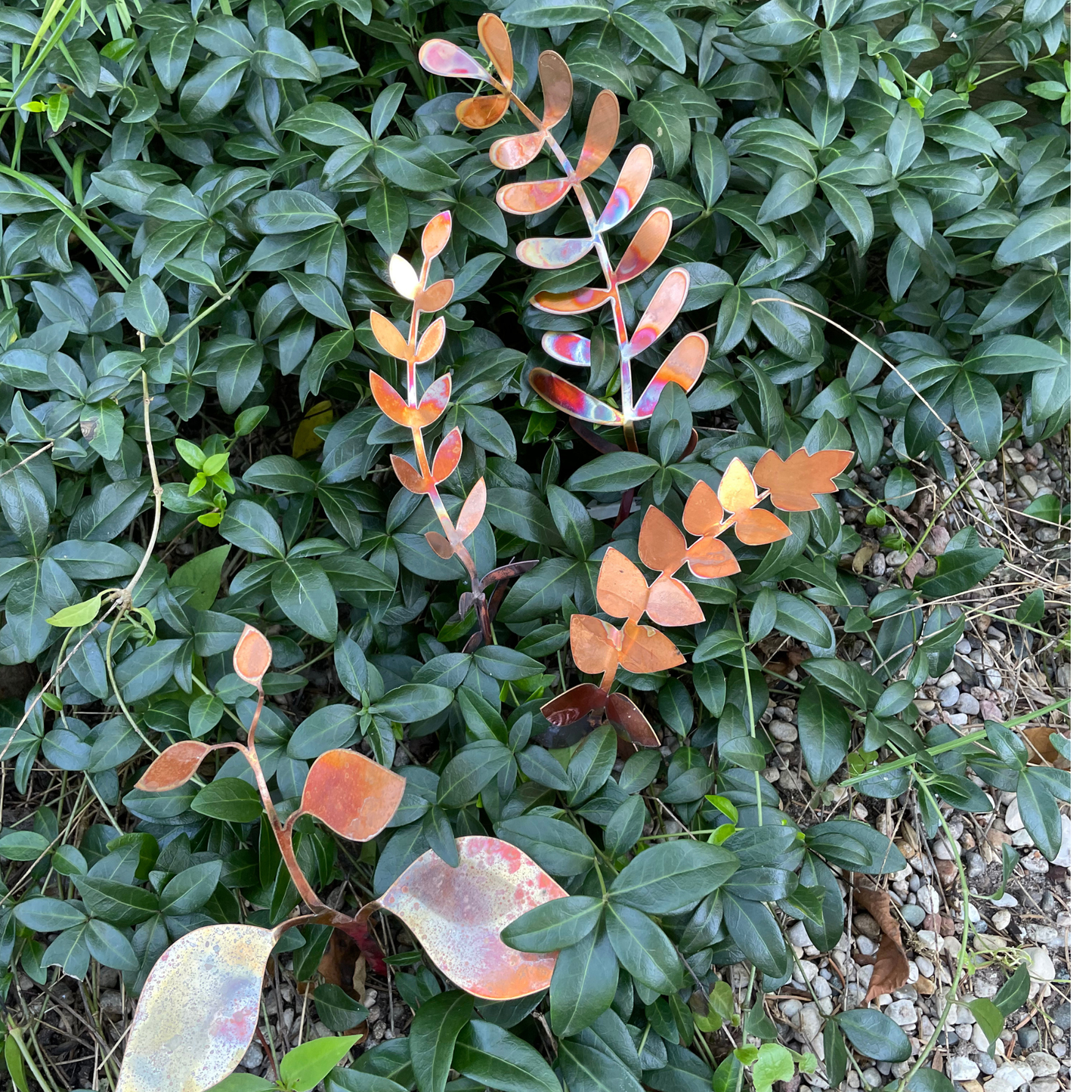 Large Copper Fern Frond