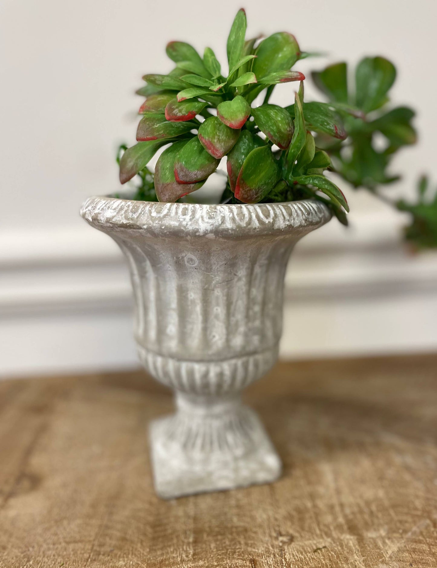 CEMENT URN PLANTER