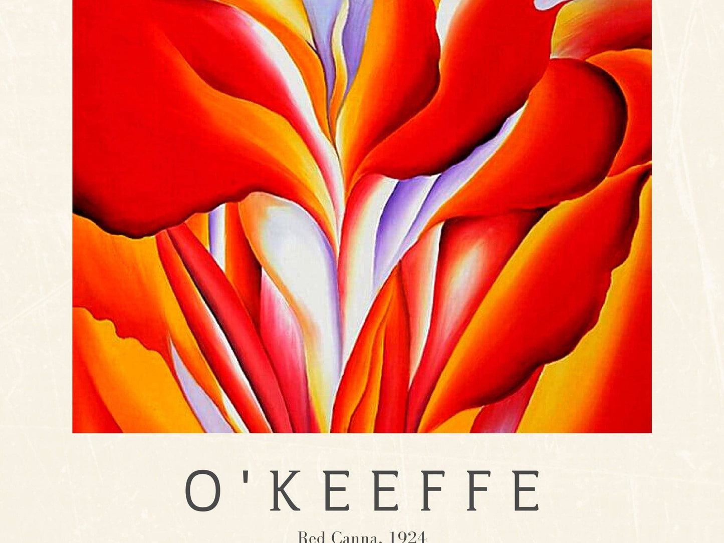 Okeeffe - Red Canna