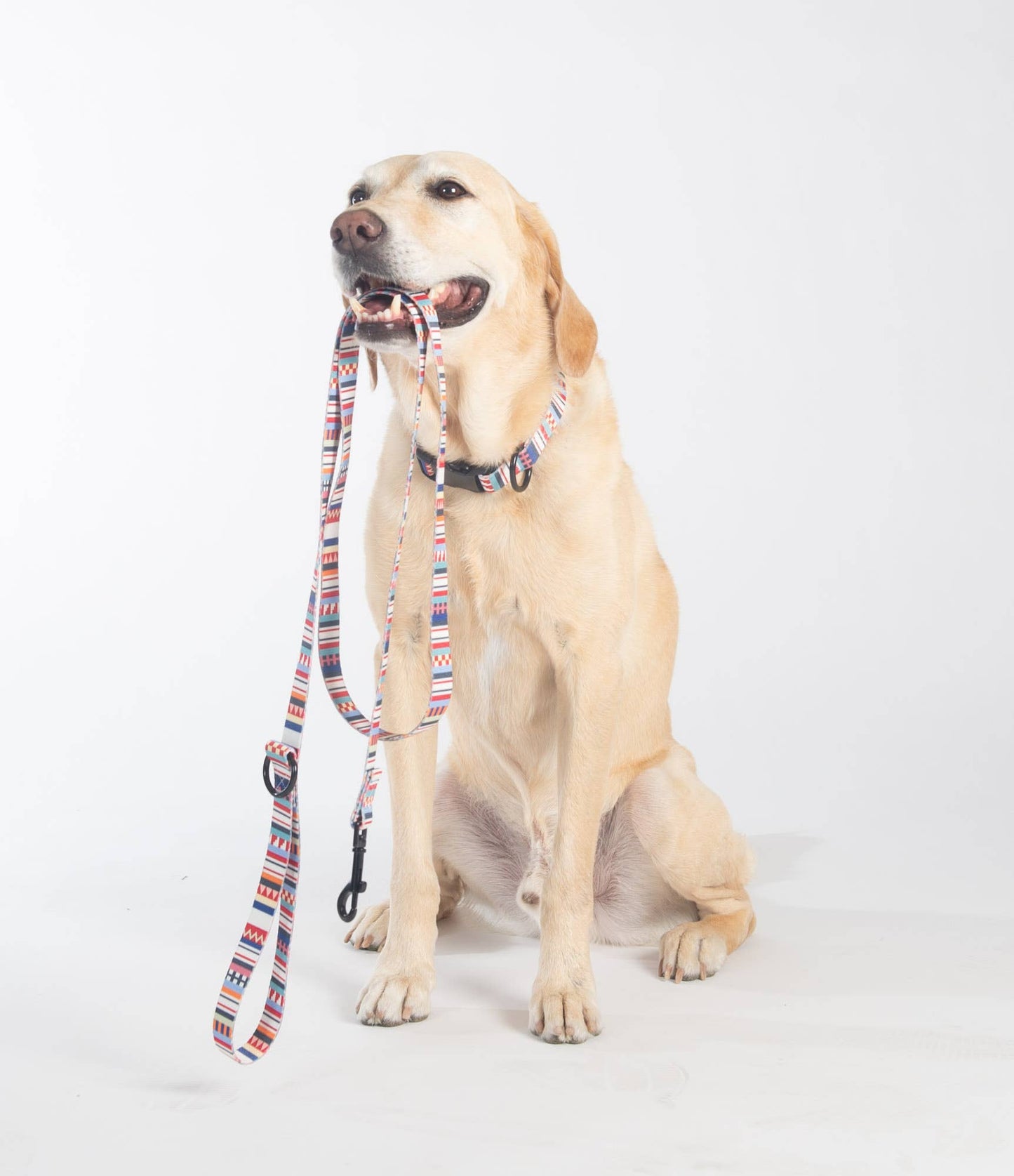 Pendleton Classics Convertible Adventure Dog Leash