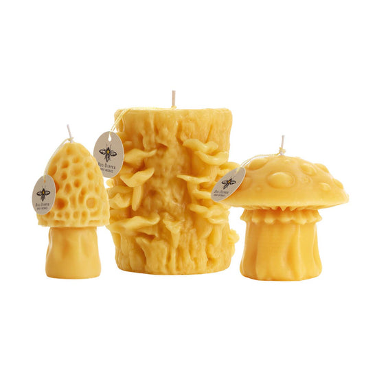 Beeswax Mushroom Candle