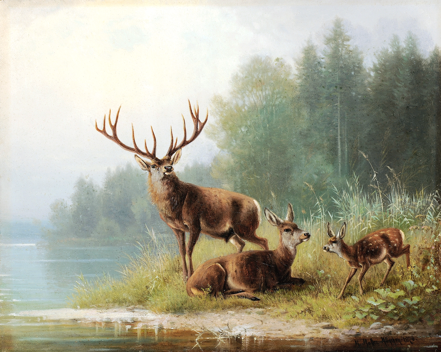 Stag at a Lake Antique Art Print