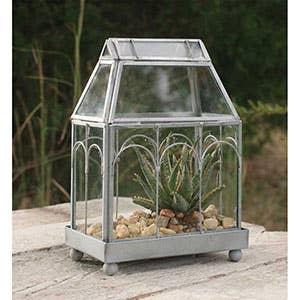 Tabletop Archway Glass Terrarium