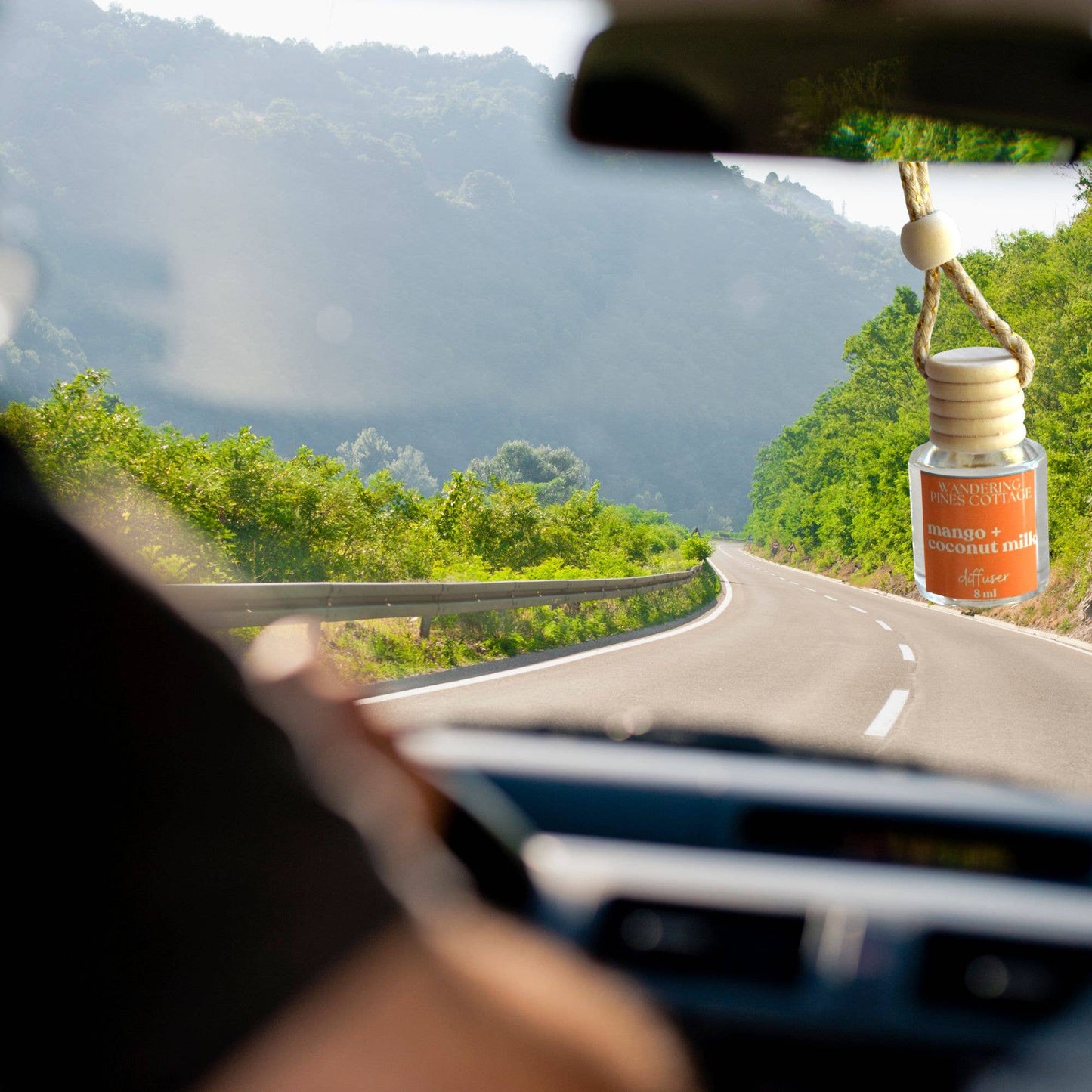 Hanging Car Diffuser 8 ml Mango and Coconut Milk