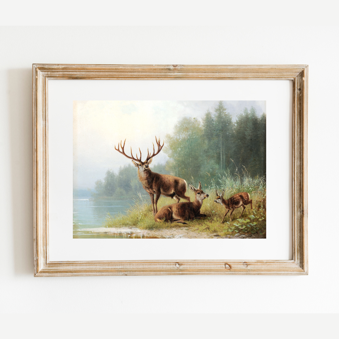 Stag at a Lake Antique Art Print