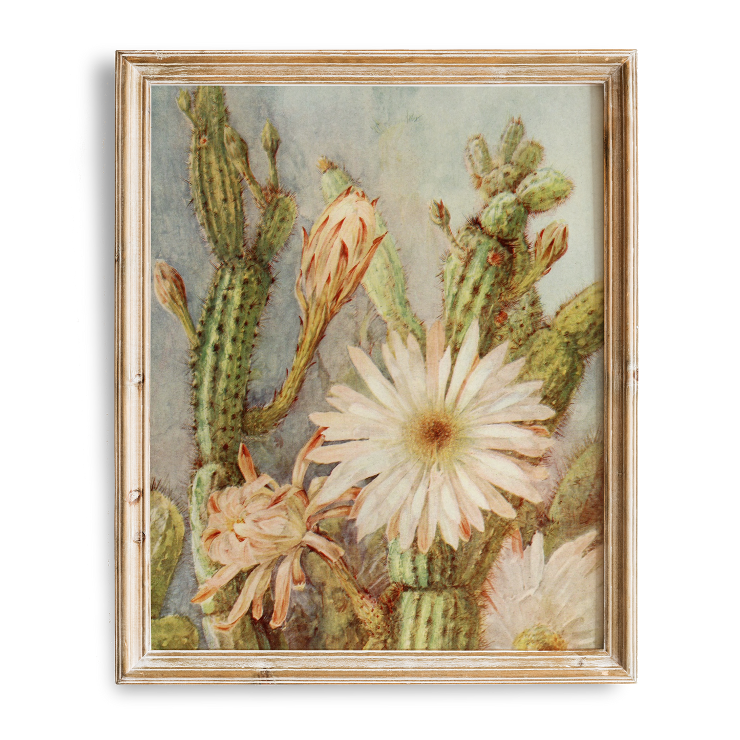 Vintage Cactus Painting | Desert Wall Art | Rustic Boh