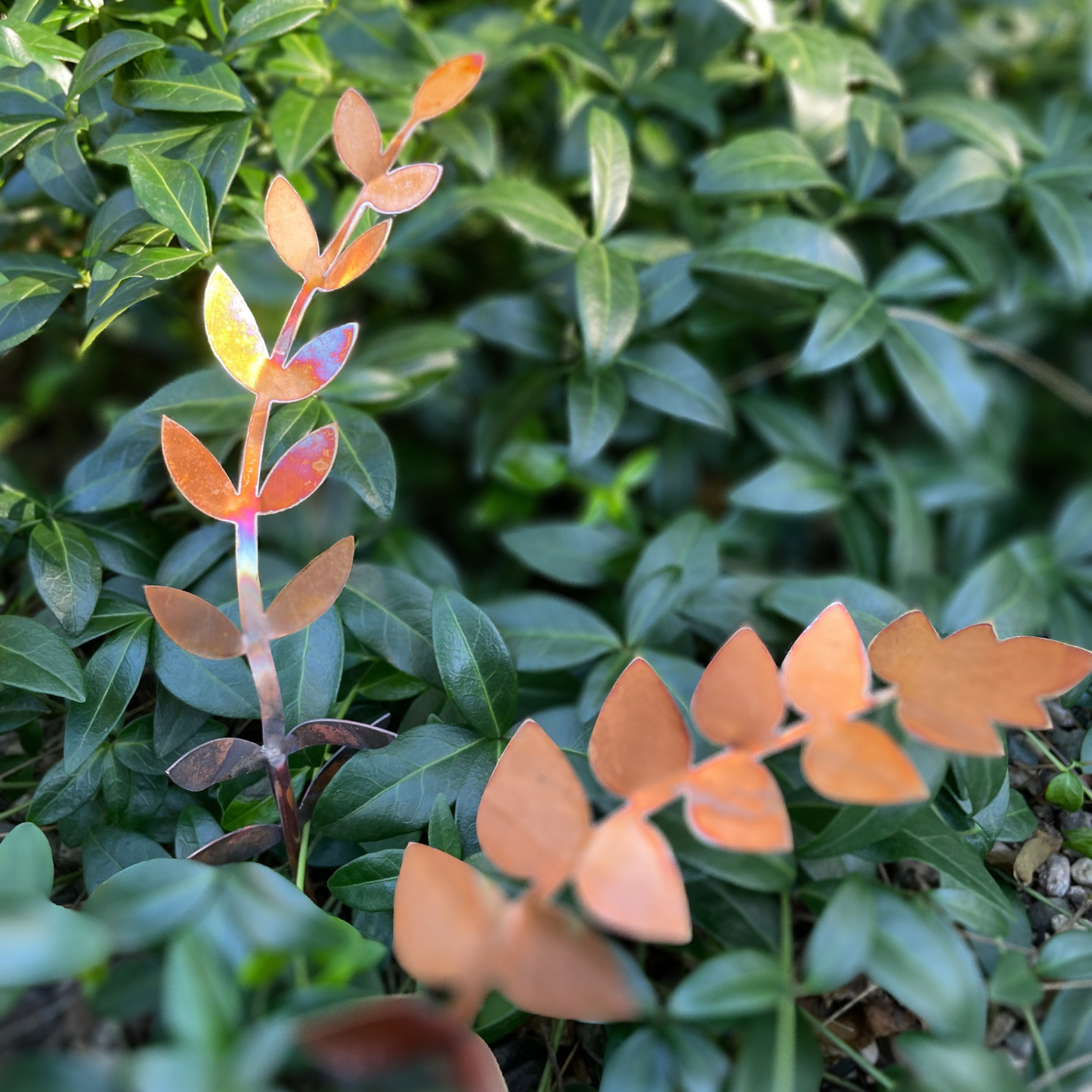 Medium Copper Fern Frond (teardrop)