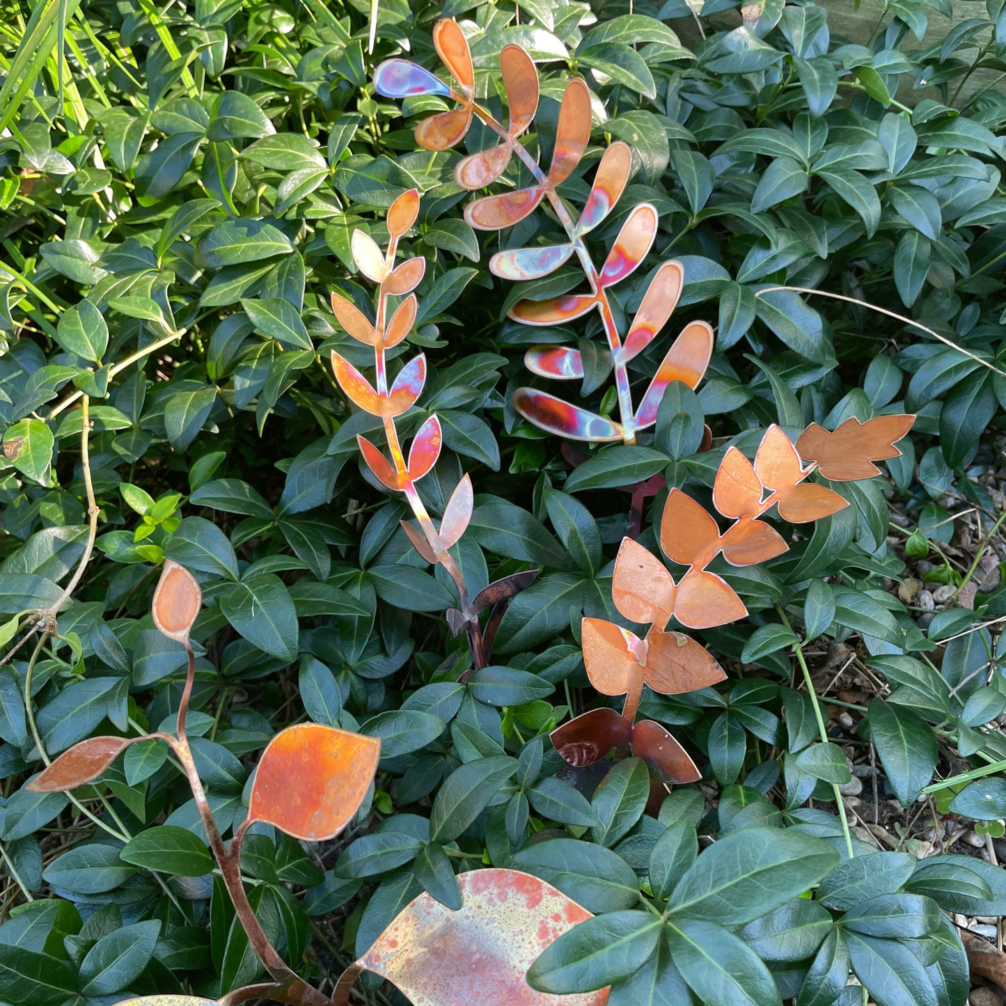 Large Copper Fern Frond