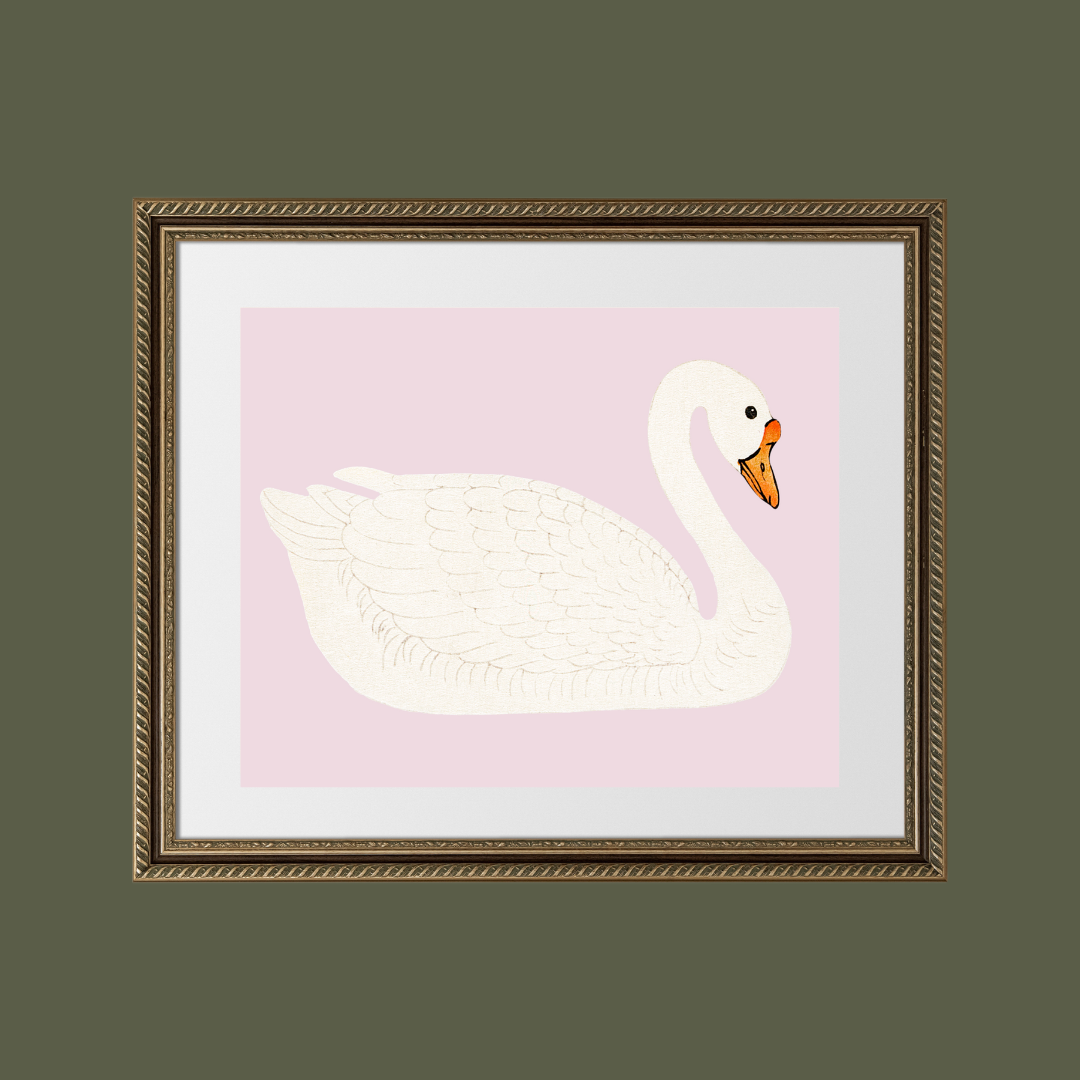 A Swan Antique Art Print Pink