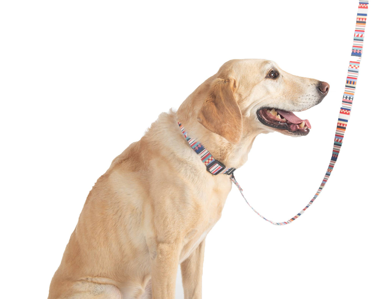 Pendleton Classics Convertible Adventure Dog Leash