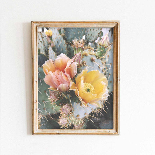 Cactus Flowers Art Print