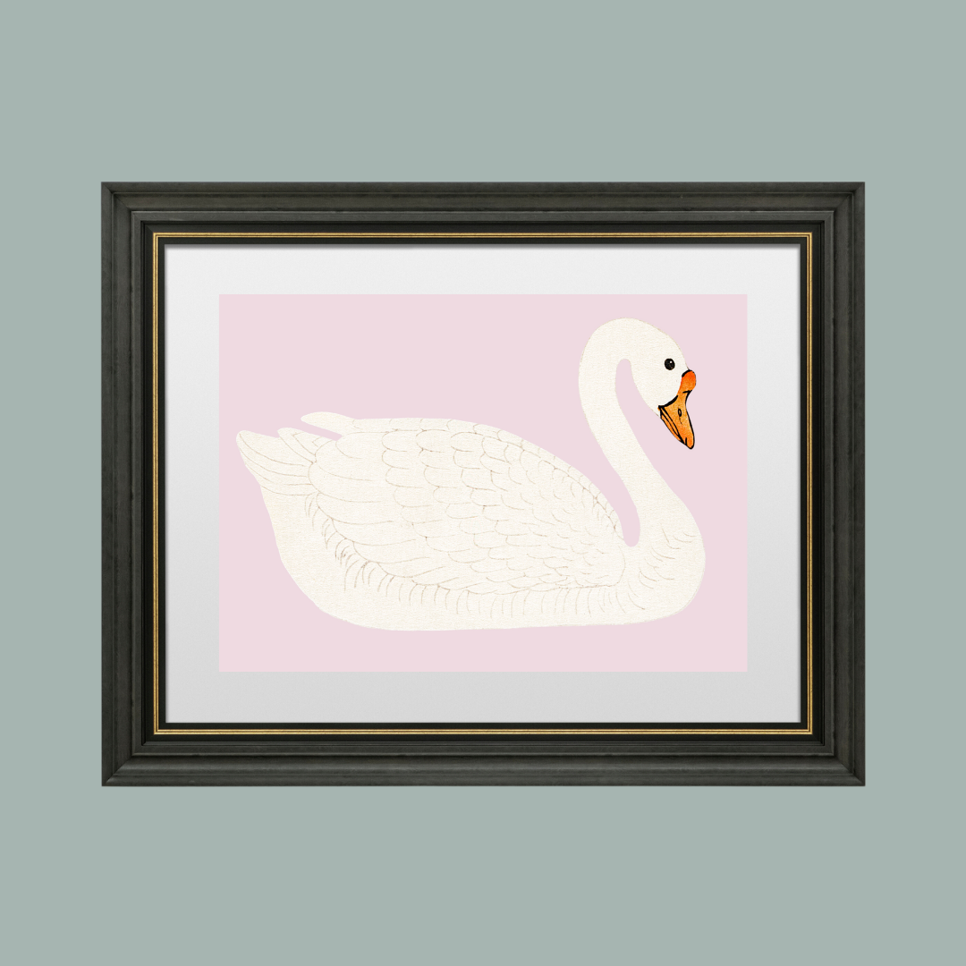 A Swan Antique Art Print Pink