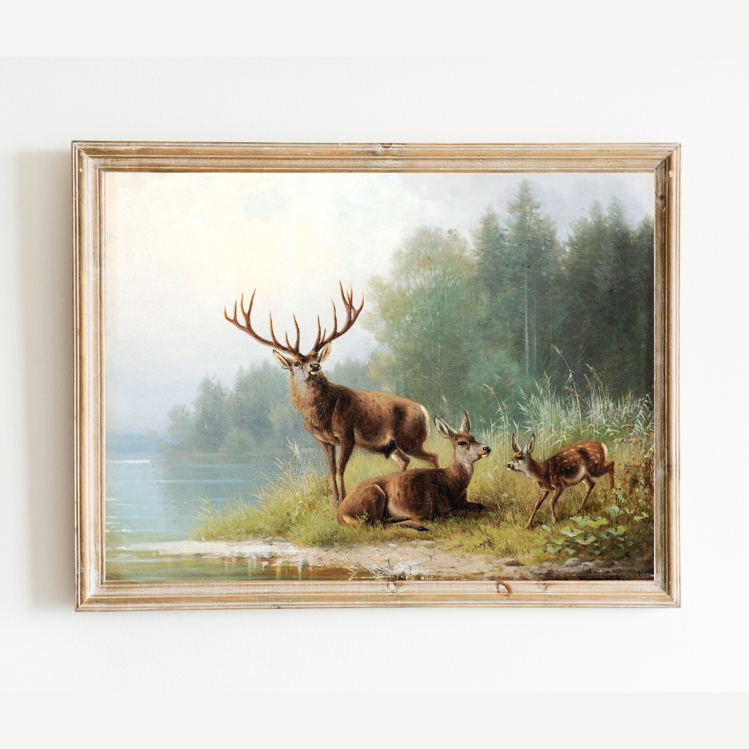 Stag at a Lake Antique Art Print