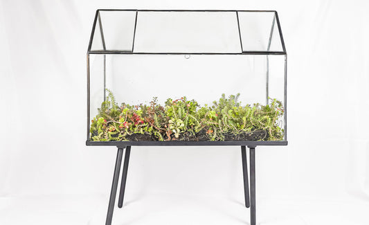 UB Oversize Terrarium Greenhouse, Black, Glass, Steel, Stand