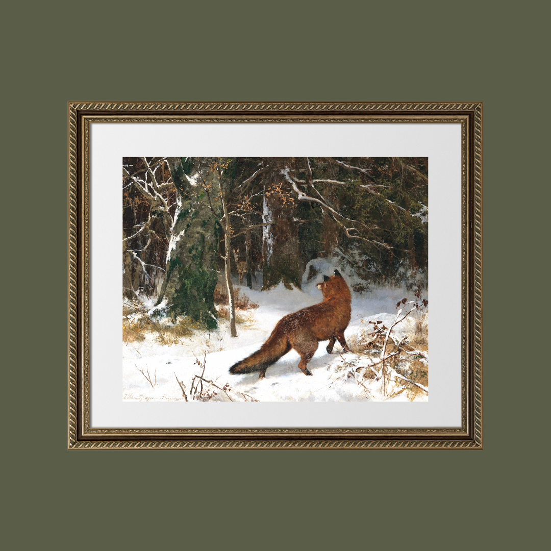 Fox in the Snow Antique Art Print