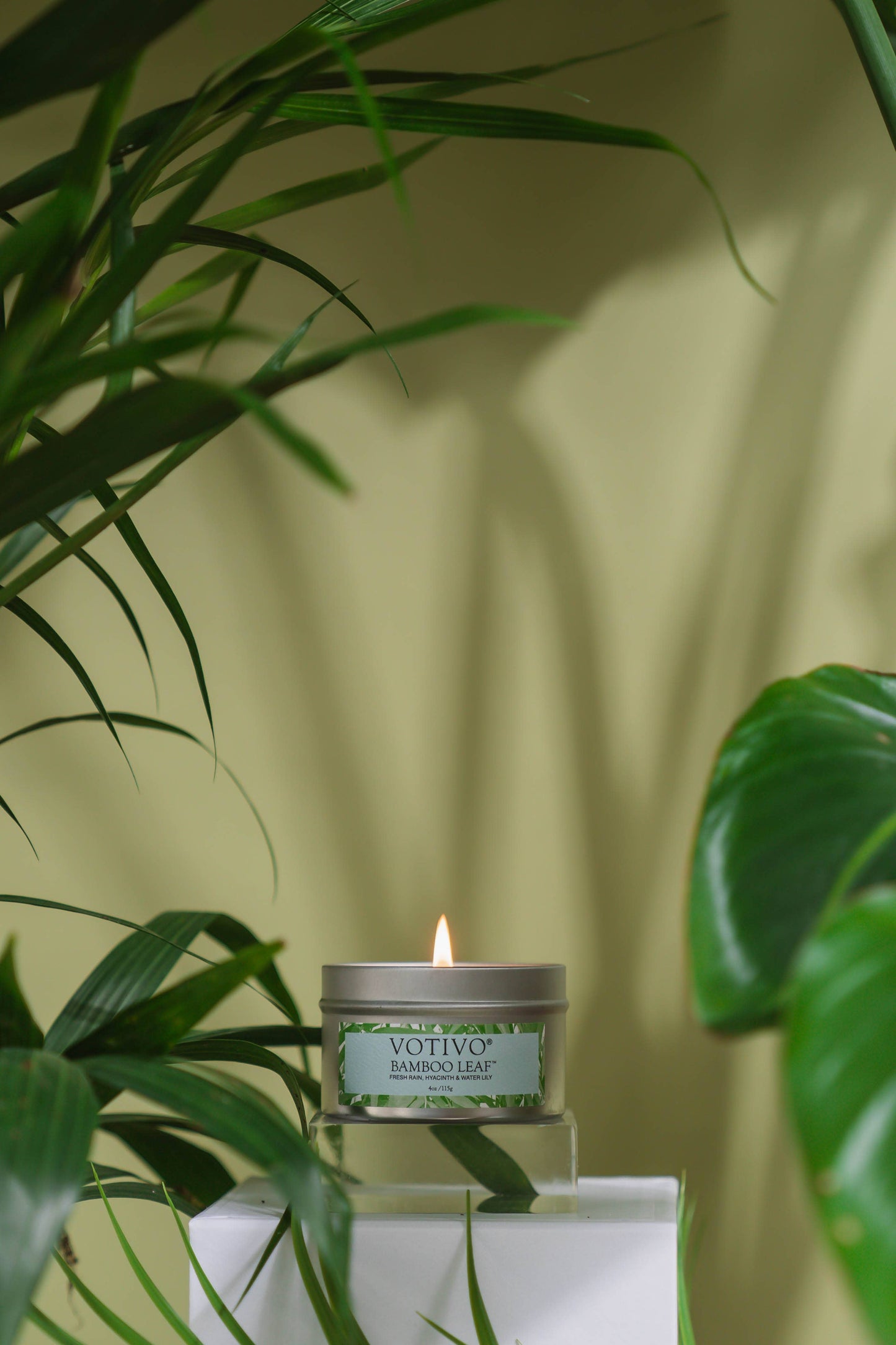 Aromatic Travel Tin Candle - Bamboo Leaf