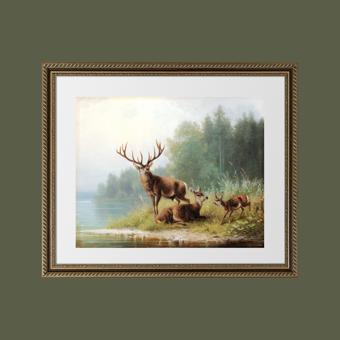 Stag at a Lake Antique Art Print