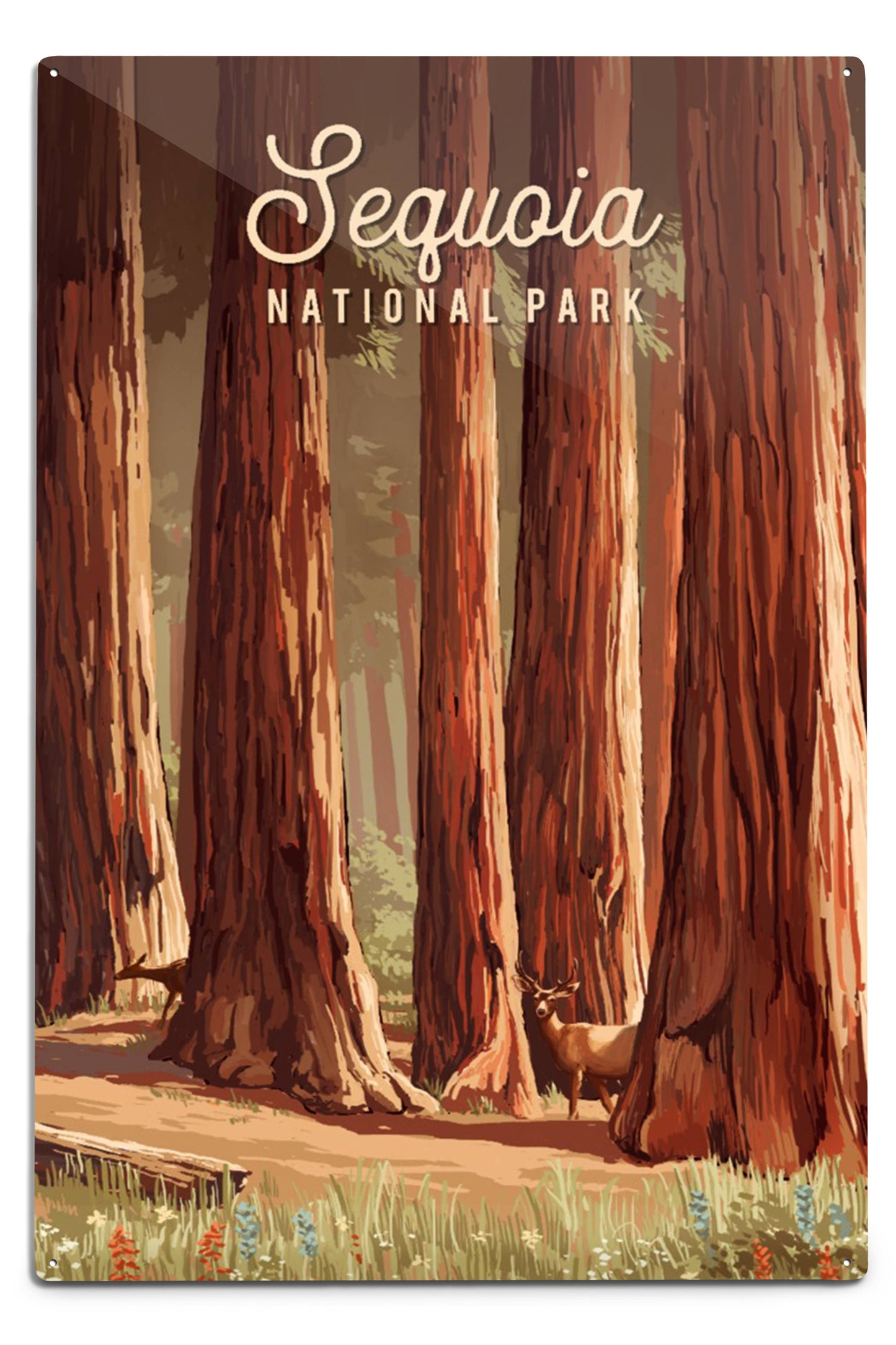 Sequoia National Park, California Wall Decor (9 Options)