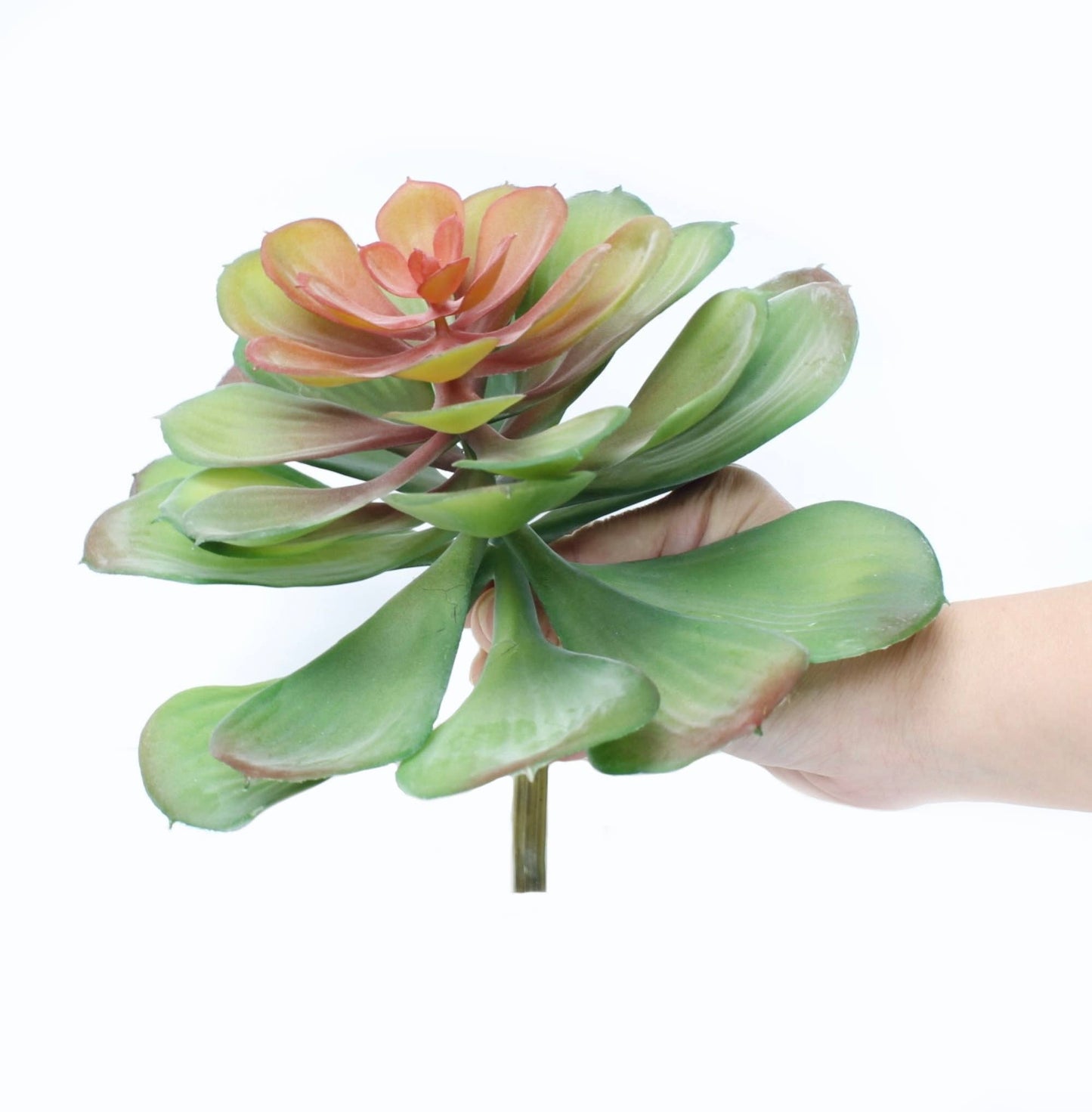 Artificial Echeveria Succulent Stem