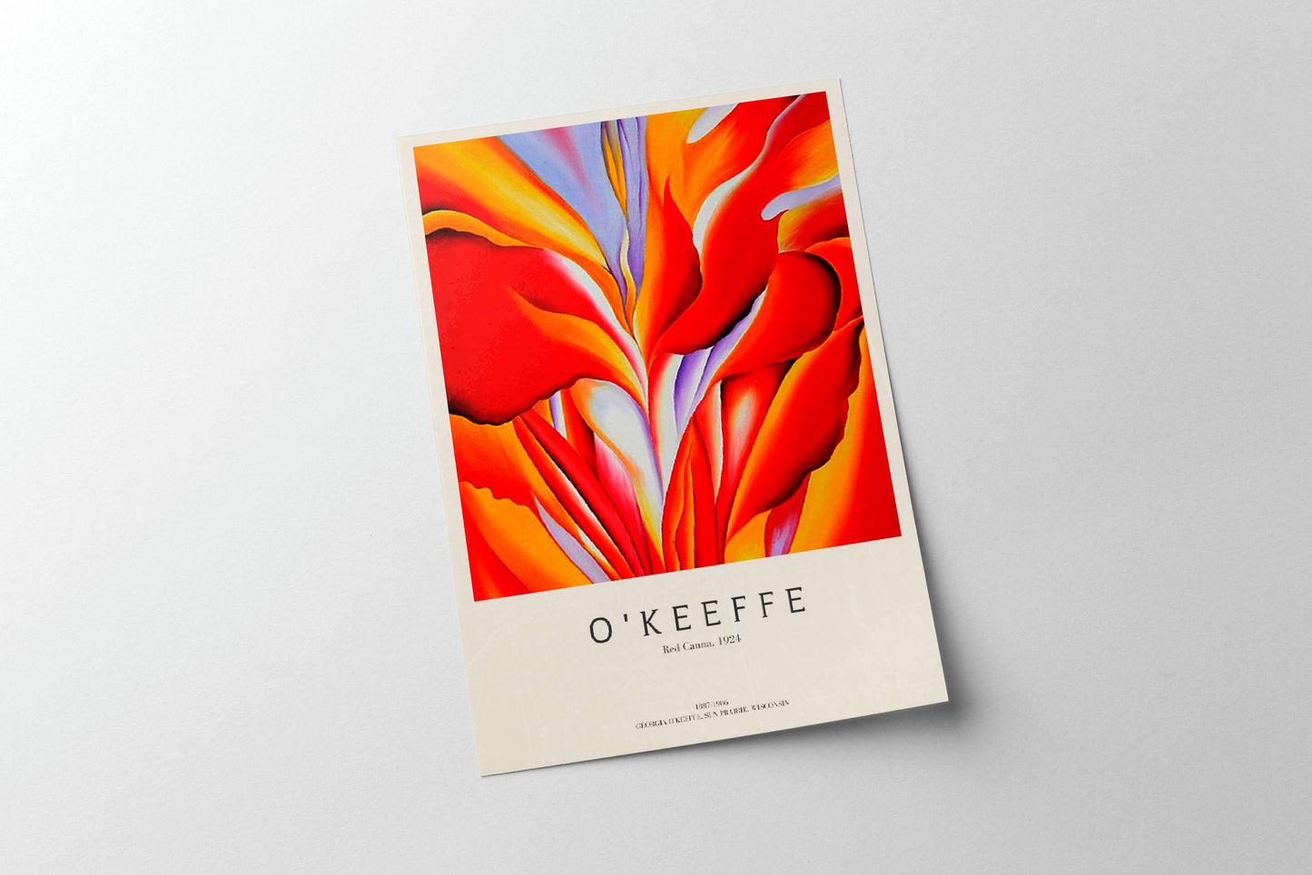 Okeeffe - Red Canna