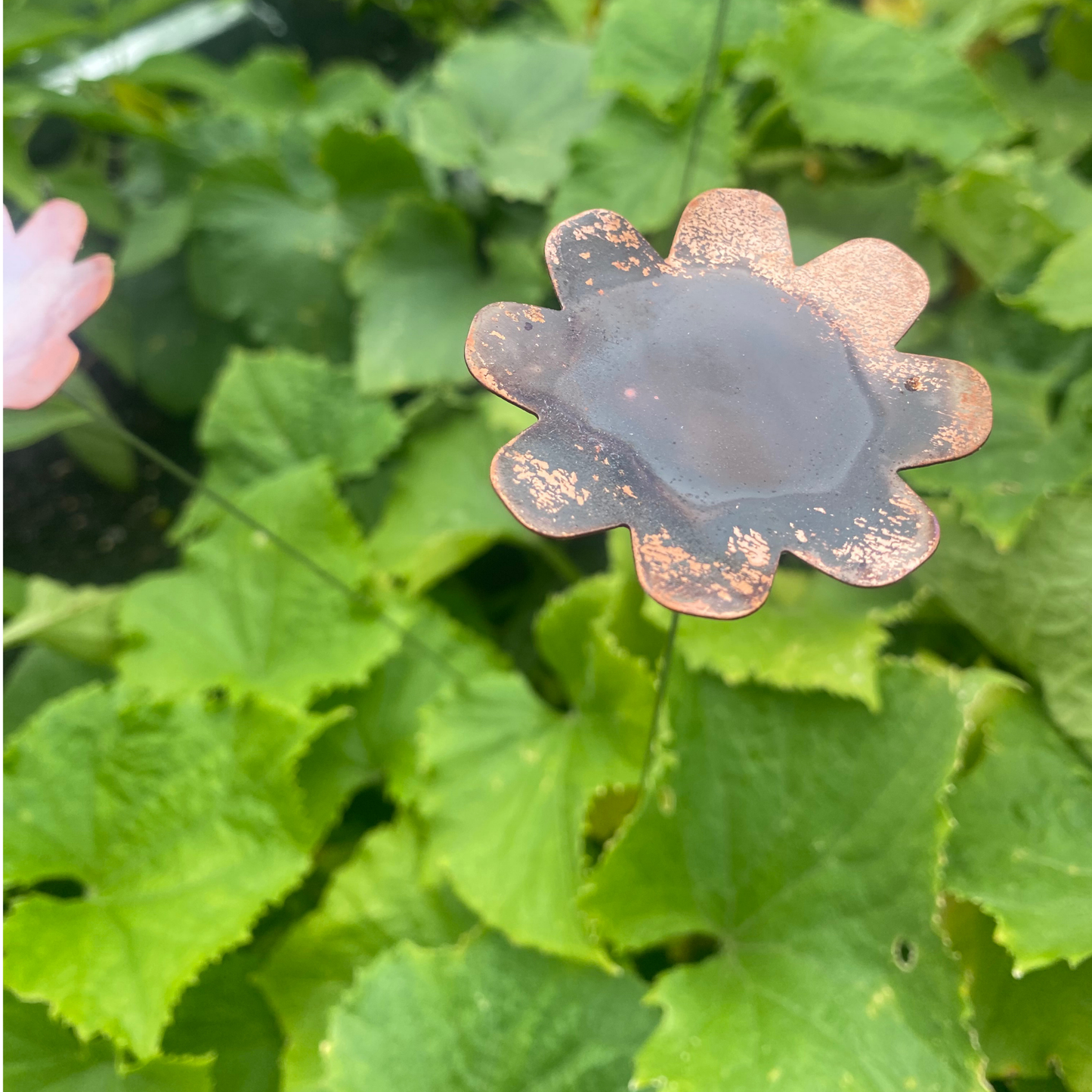 Large Copper Flower- Bare