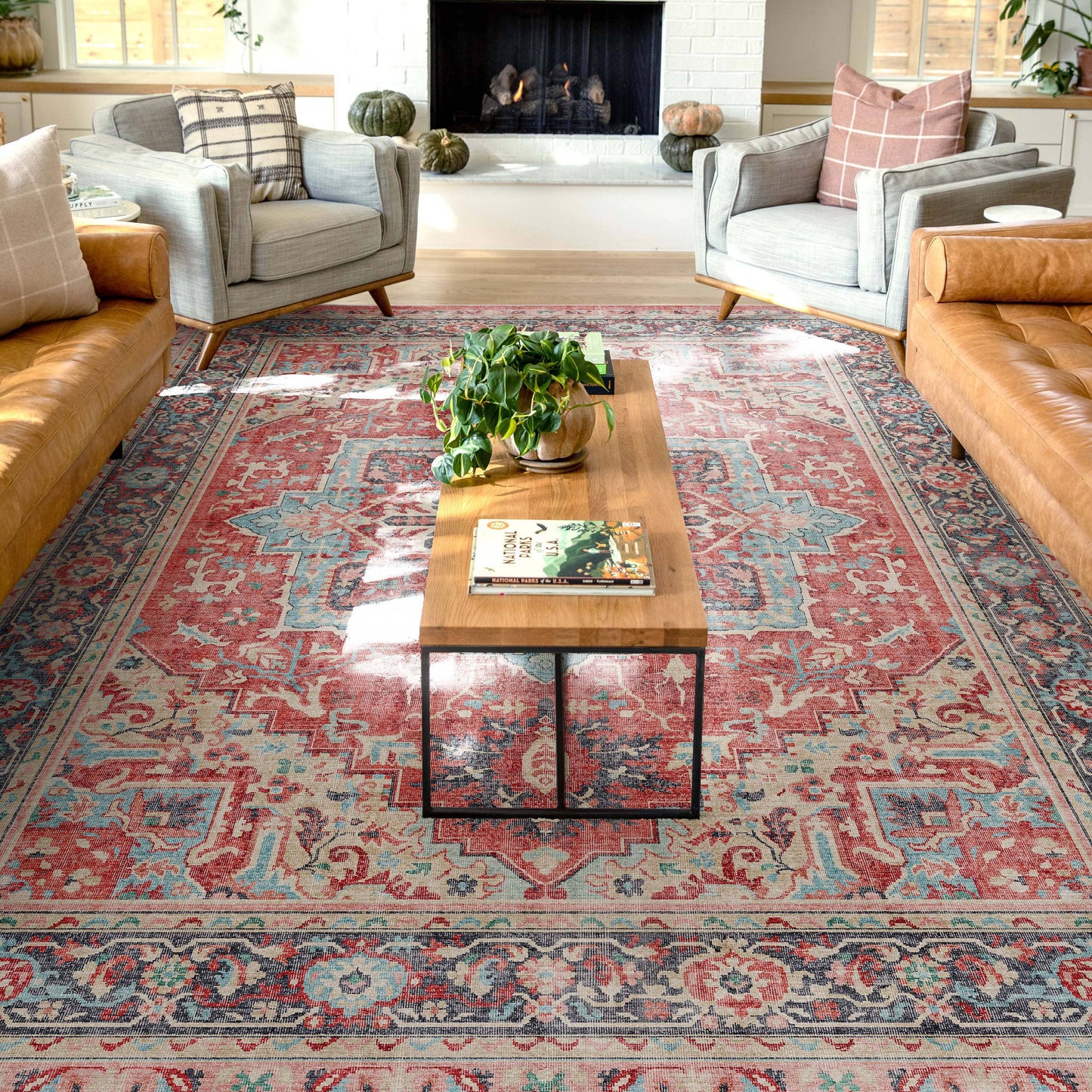 Tirana Vintage Medallion Oriental Flat-Weave Rug