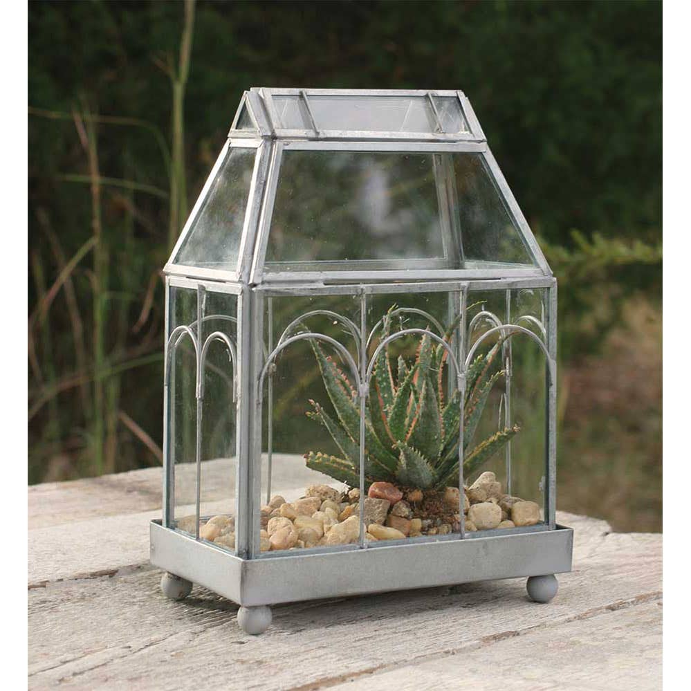 Tabletop Archway Glass Terrarium