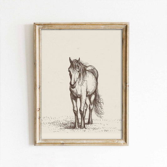 Roaming Horse Sketch Vintage Art Print