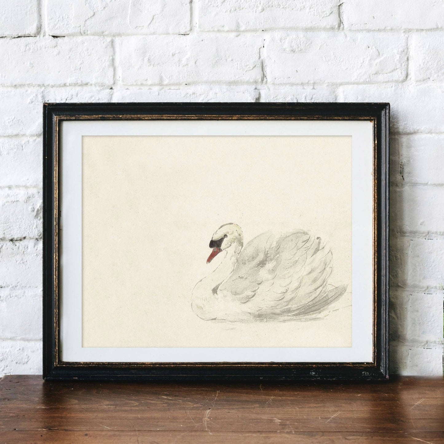 Vintage Swan Sketch Art Print