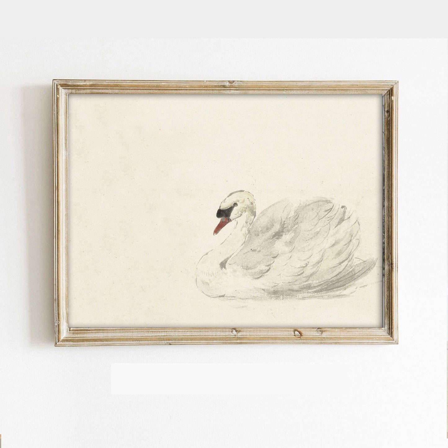 Vintage Swan Sketch Art Print