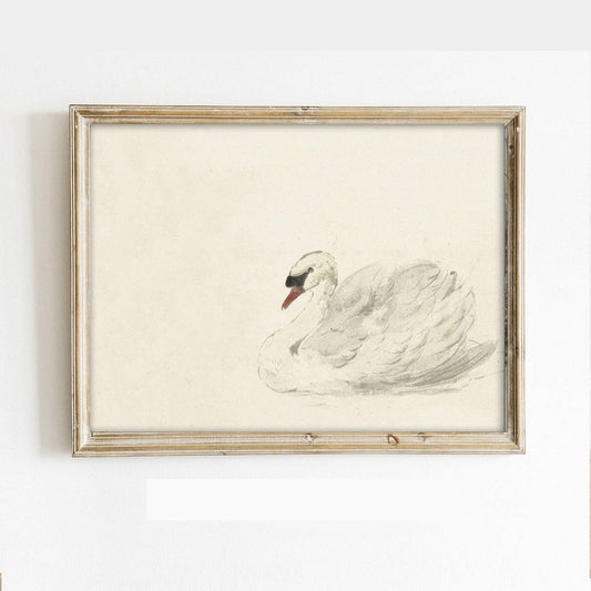 Vintage Swan Sketch Art Print