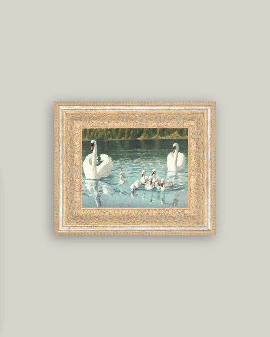 Swan Family Framed Antique Art