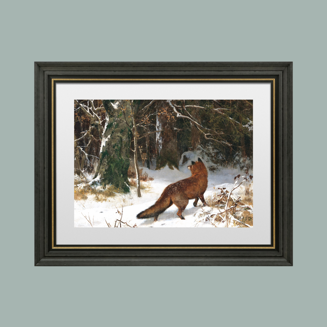 Fox in the Snow Antique Art Print