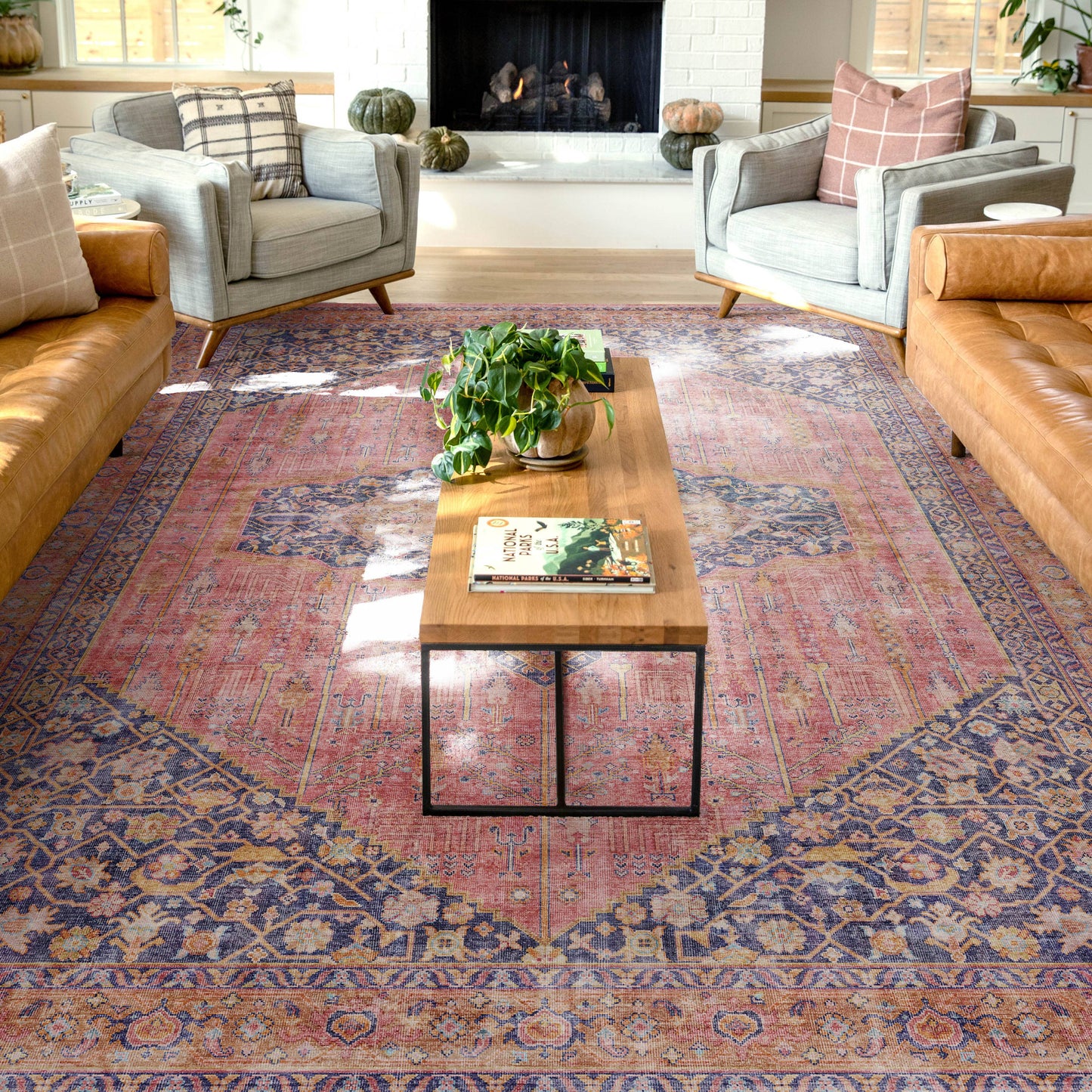 San Marino Vintage Oriental Botanical Flat-Weave Rug