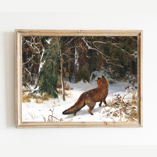 Fox in the Snow Antique Art Print