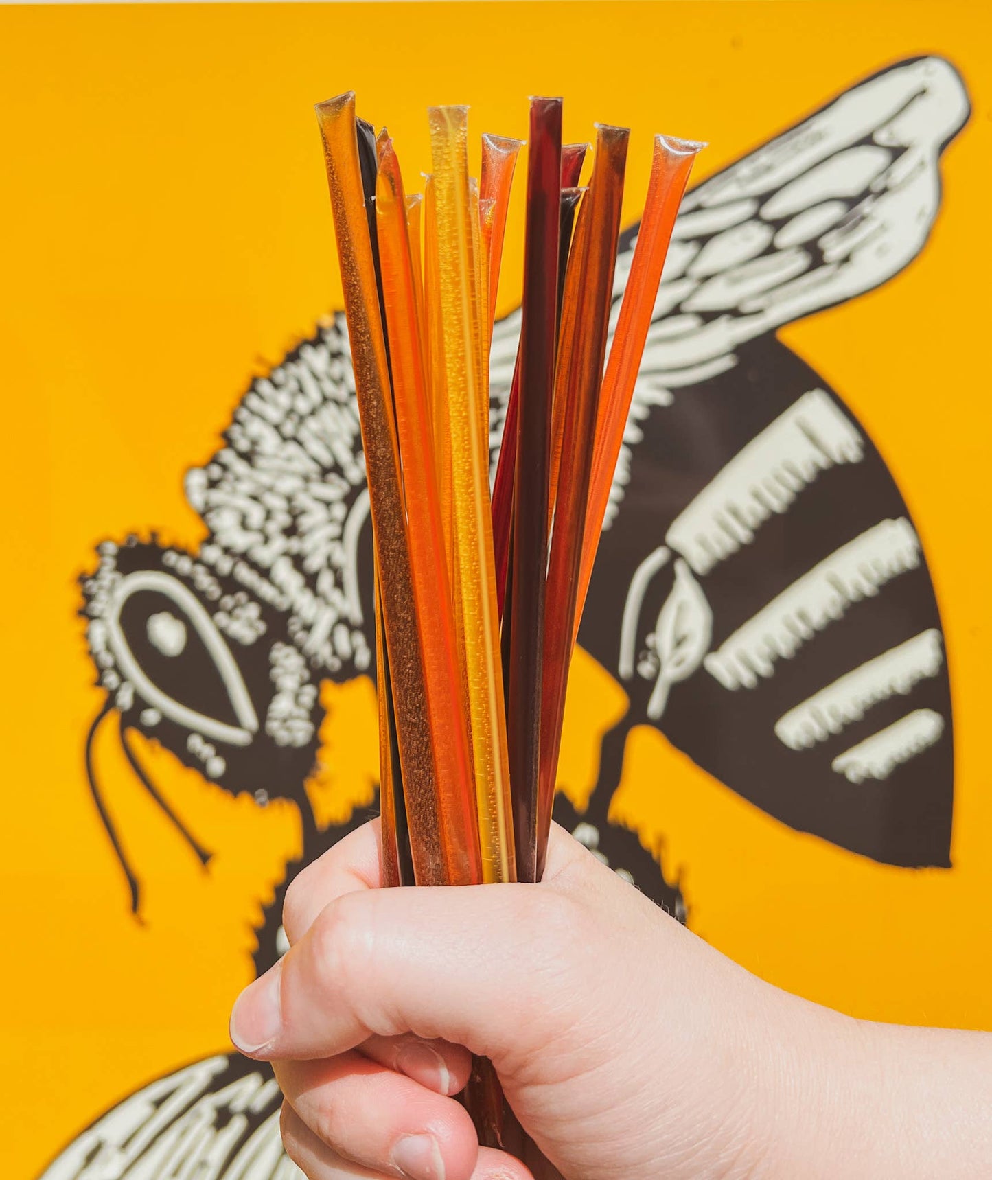 Honey Sticks Variety Pack