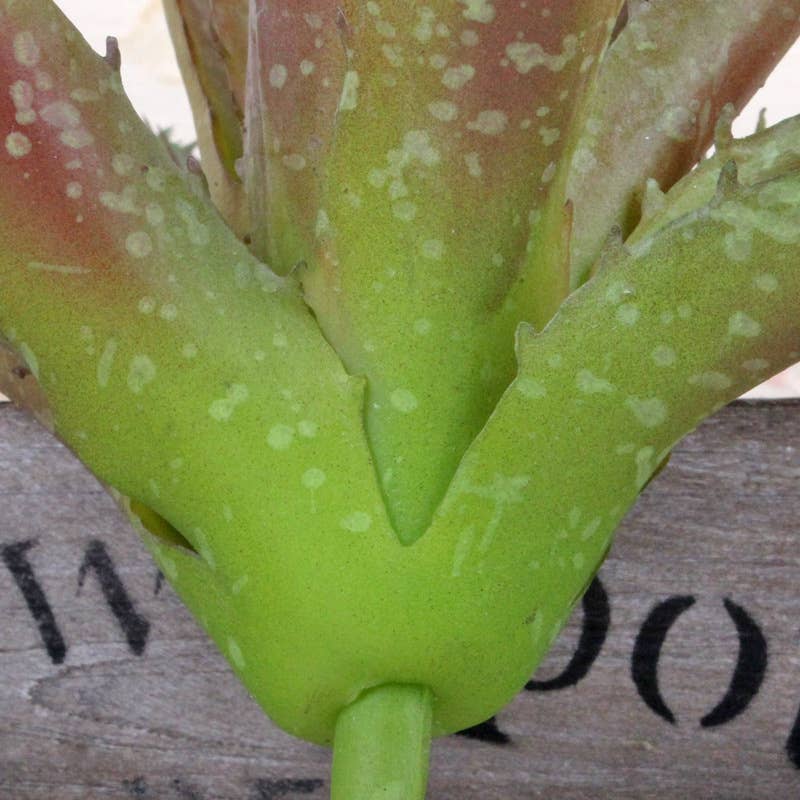 Faux Real Touch Succulents Aloe Plant - 10"