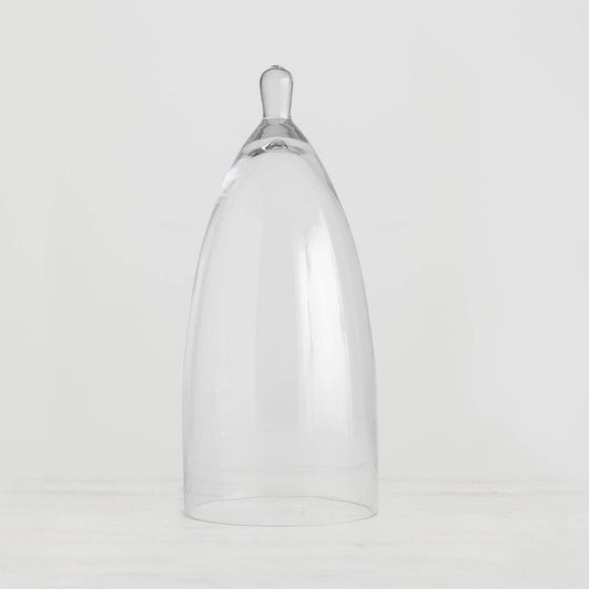 Clear Glass Cloche